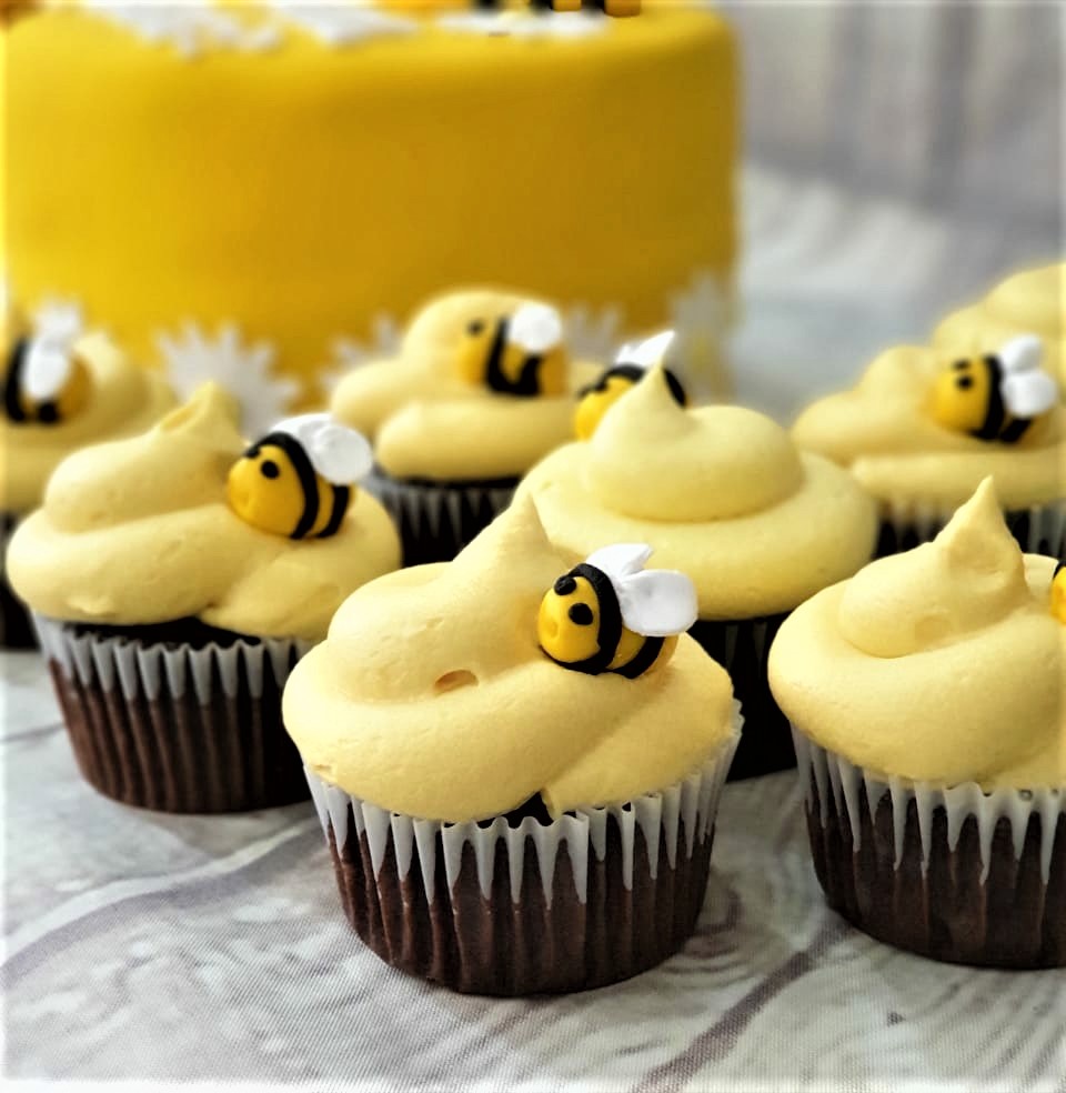 _20190126_185335 _20190126_185335